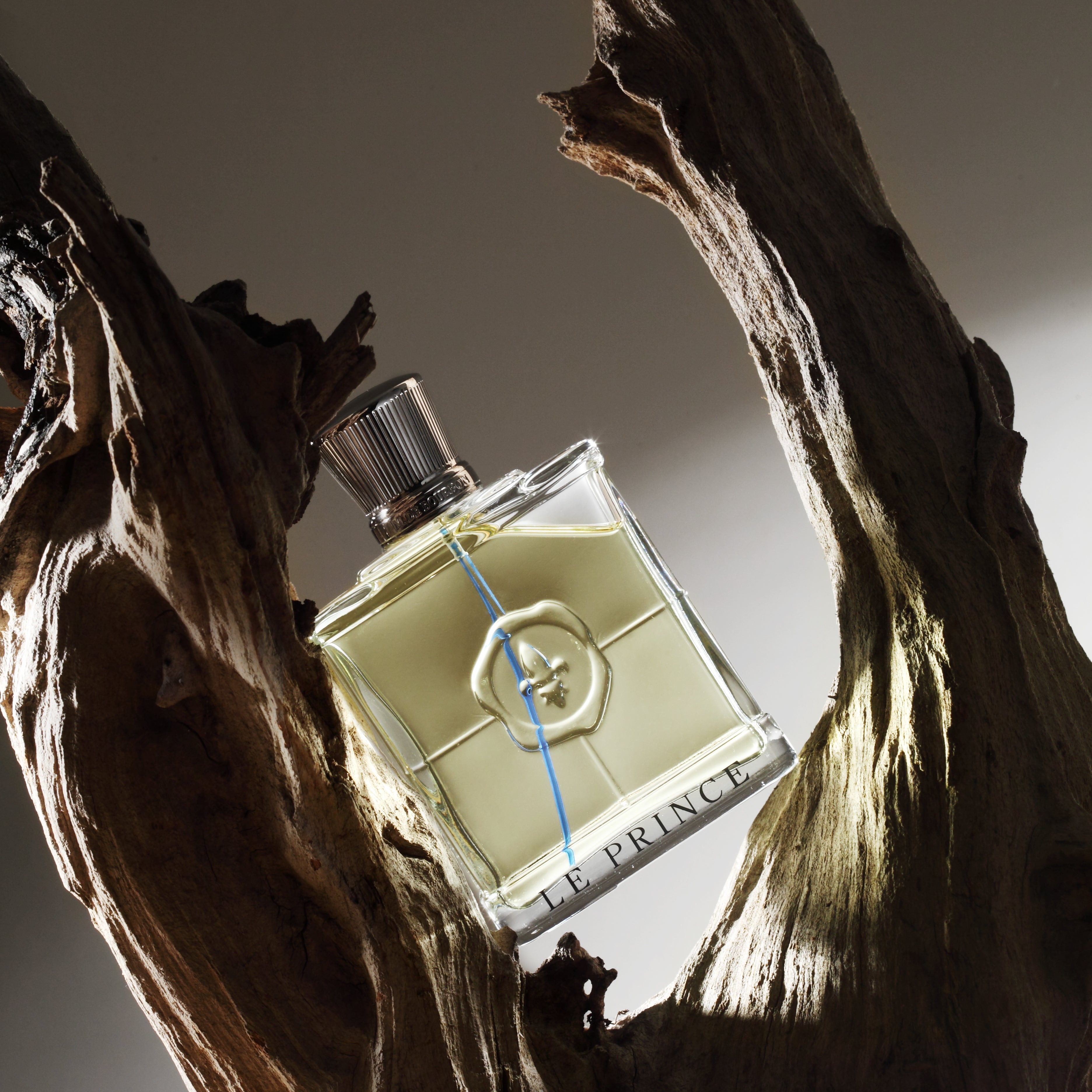 Monsieur le Prince Gentleman – Eau de Parfum Homme Élégant | Marina de Bourbon – vue 2